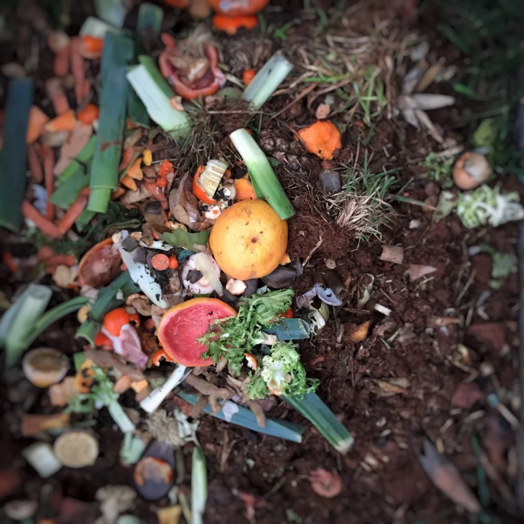 Compost and organic soil texture