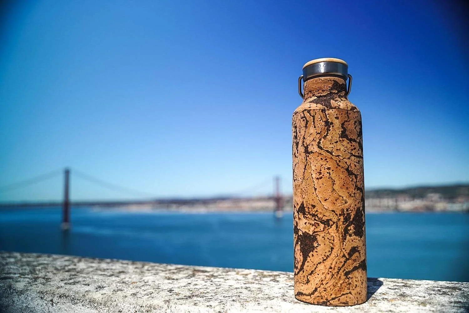 ReBOTTLE_Thermos_750ml_TIGER